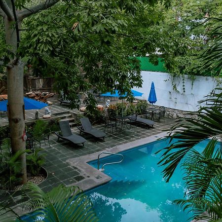 Zihuatanejo Studio Eksteriør bilde